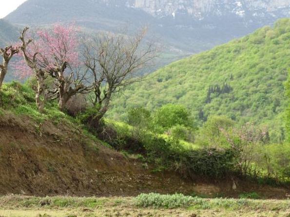 میران، قلعه ای باستانی بر فراز رامیان