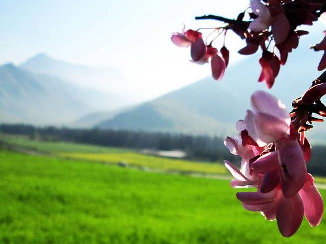 میران، قلعه ای باستانی بر فراز رامیان