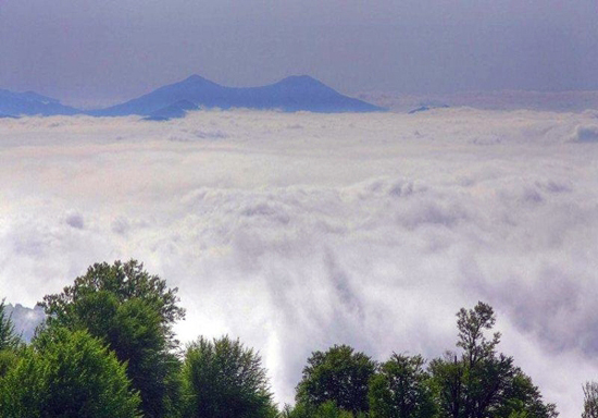 قدم بر روی ابرها در جنگل ابر