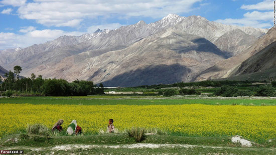 ده ذخیره‌گاه طبیعی در جهان