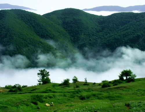 جنگل ابر سمنان