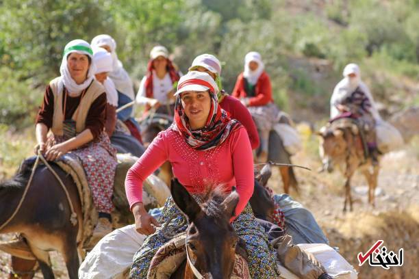 تصاویر : سفره پرمخاطره زنان روستایی در ترکیه