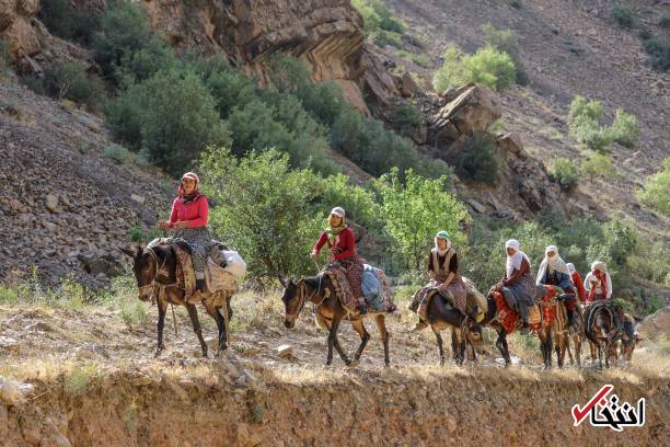 تصاویر : سفره پرمخاطره زنان روستایی در ترکیه