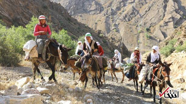 تصاویر : سفره پرمخاطره زنان روستایی در ترکیه