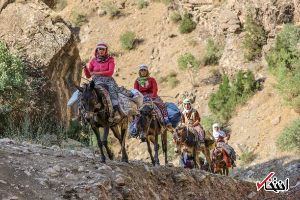 تصاویر : سفره پرمخاطره زنان روستایی در ترکیه