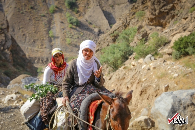 تصاویر : سفره پرمخاطره زنان روستایی در ترکیه