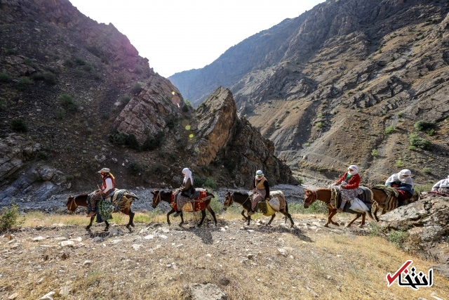 تصاویر : سفره پرمخاطره زنان روستایی در ترکیه