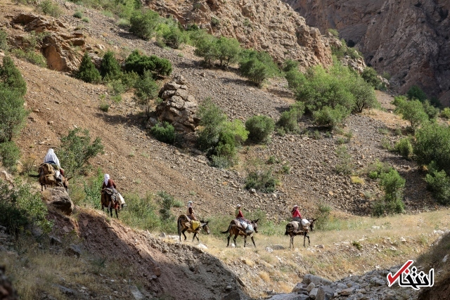 تصاویر : سفره پرمخاطره زنان روستایی در ترکیه