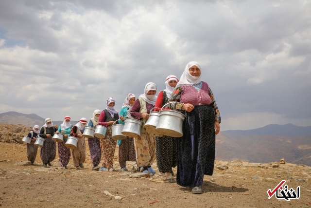 تصاویر : سفره پرمخاطره زنان روستایی در ترکیه