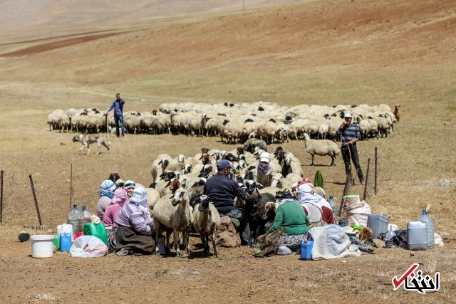 تصاویر : سفره پرمخاطره زنان روستایی در ترکیه