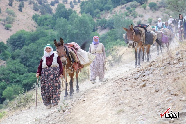 تصاویر : سفره پرمخاطره زنان روستایی در ترکیه