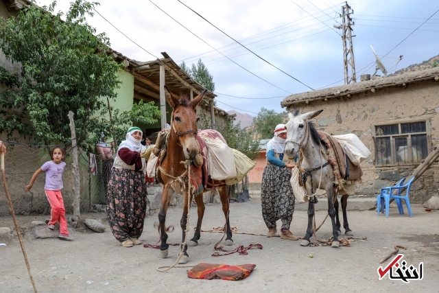 تصاویر : سفره پرمخاطره زنان روستایی در ترکیه