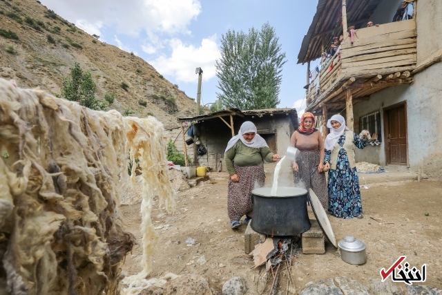 تصاویر : سفره پرمخاطره زنان روستایی در ترکیه