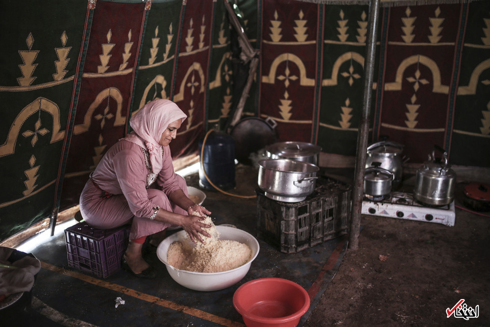 تصاویر : نمایش تفنگ و اسب