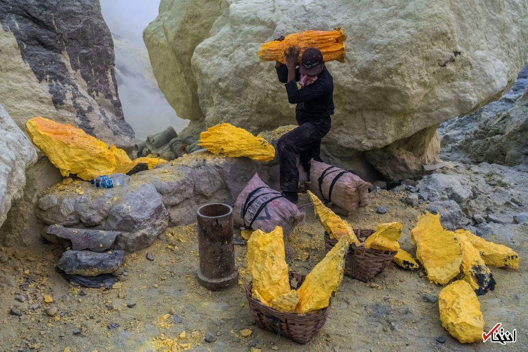 تصاویر : در جستجوی طلای شیطان